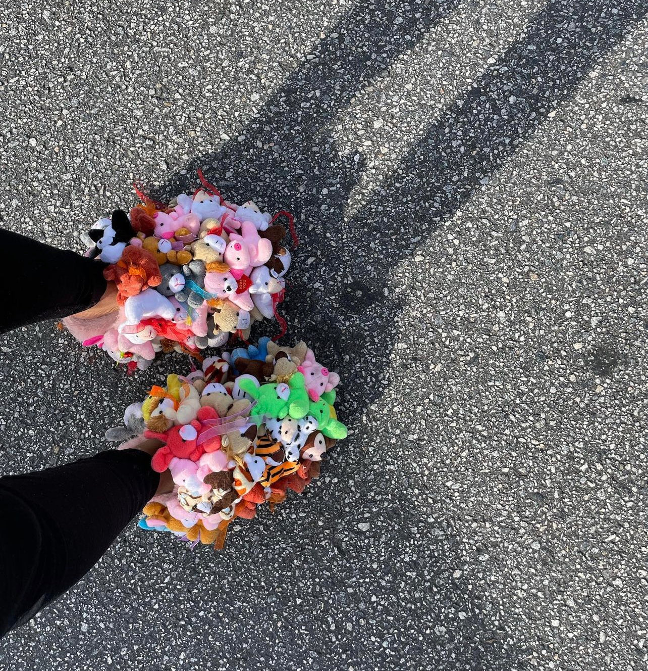 Anastasia - Miracle Shoetique