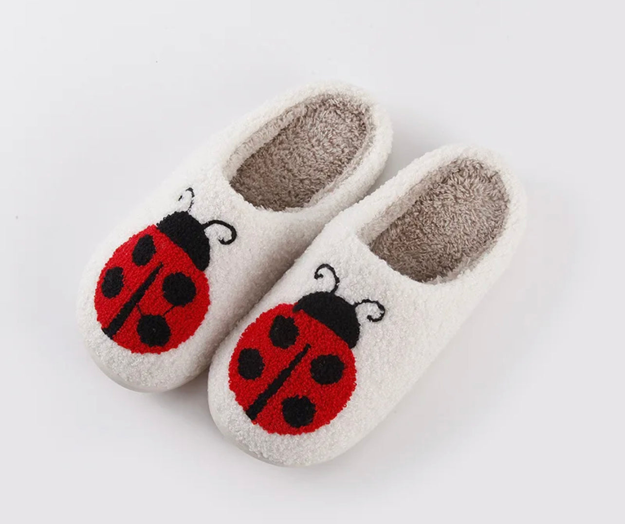 Lady Bug - Miracle Shoetique